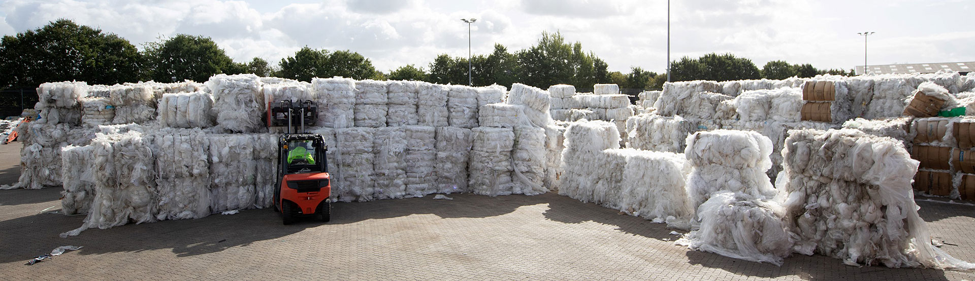 RDB_2019_JWFR7735_1920x555